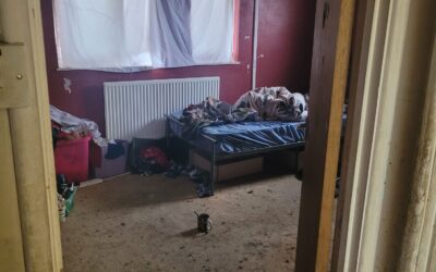 More than a Makeover: The Life Behind the Before