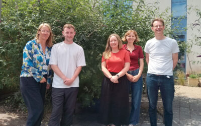 Meet Your New Community Connectors in Stockwood