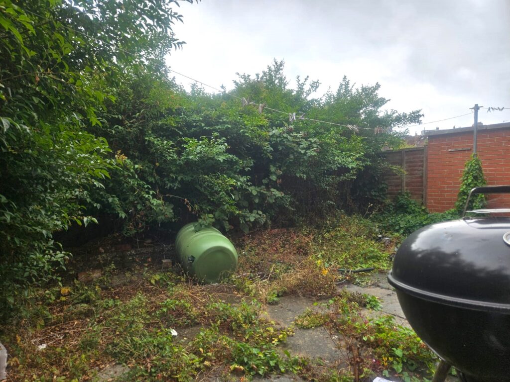 Georgias Garden Before