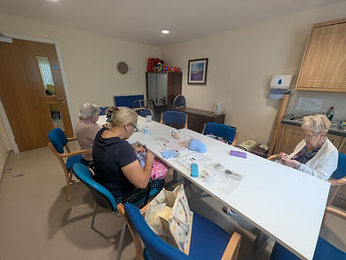 Some of the Knit and Natter Haberfield Group